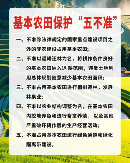 m771农村基本农田保护五不准五项内容海报印制展板贴纸挂图1040