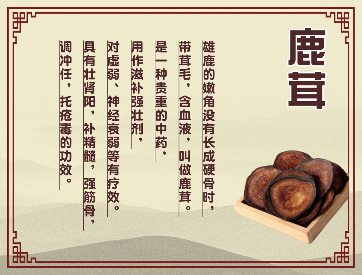 m769医院药店房中药鹿茸作用介绍983海报印制展板喷绘14-11
