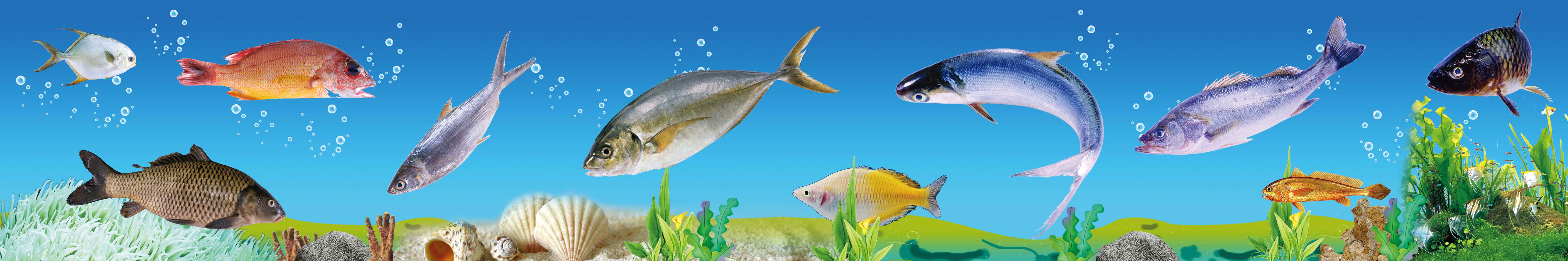 764海报印制展板写真贴纸素材2813超市商场百货店水产鱼类区背景