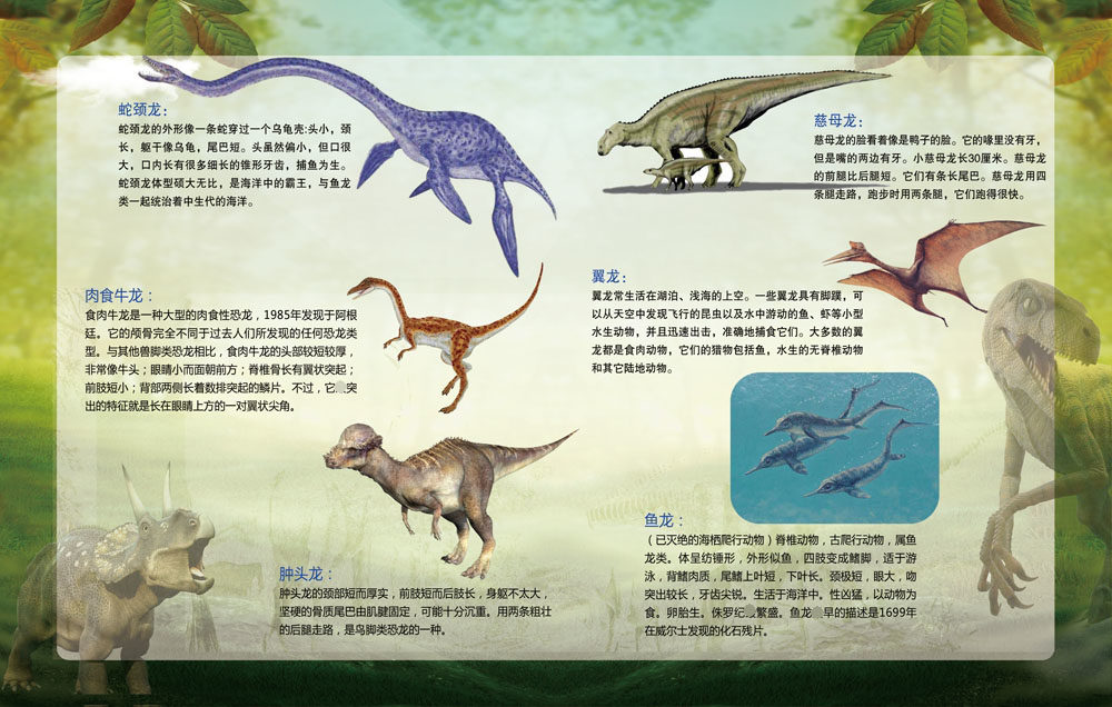 m768学校园恐龙世界展览馆介绍科普知识宣传鱼龙735海报印制3-3