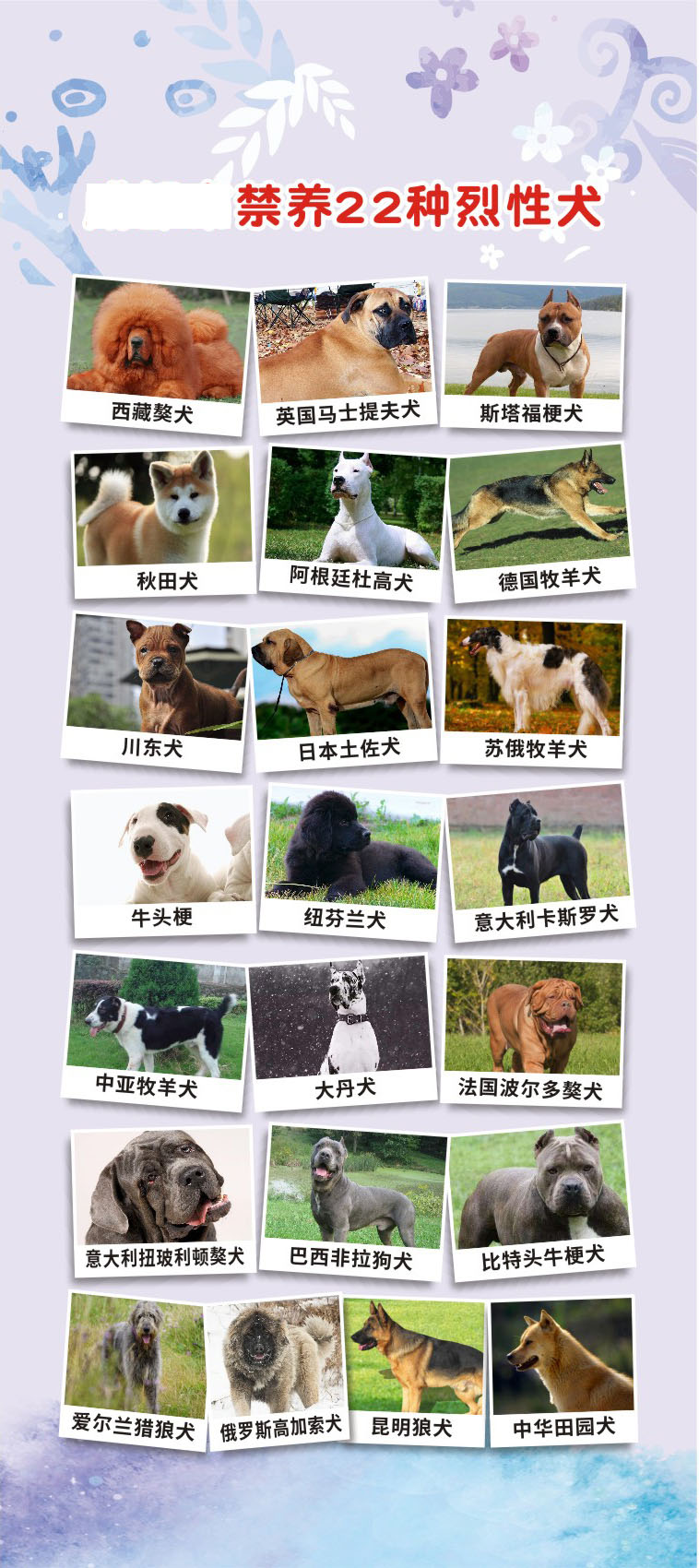 m768公共场所街道物业小区禁养烈性狗犬只图2576海报印制写真喷绘