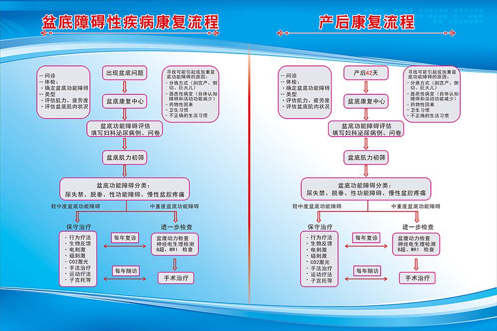 m769产后康复盆底障碍性疾病康复流程标墙贴图187展板海报印制