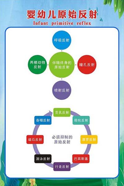 m769婴幼儿原始反射知识早教中心装饰贴画纸展板挂图海报印制2664