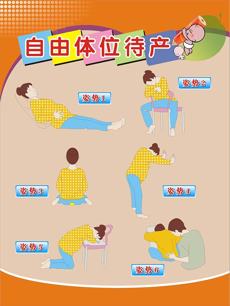 m769自由体位待产示意图片妇产科装饰挂图墙贴纸展板海报印制1785