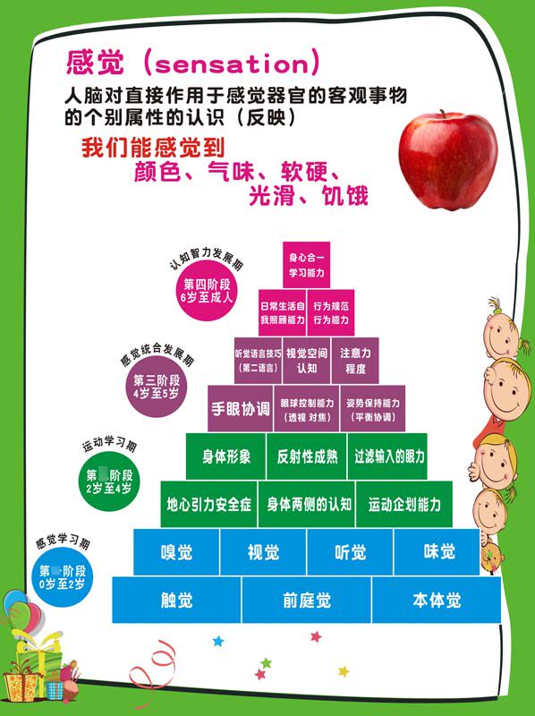 m769感觉统合训练4个阶段知识介绍宣传挂图墙贴画625展板海报印制