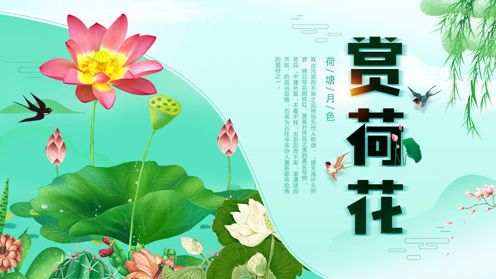 764海报印制展板写真贴纸素材2883赏荷花节荷塘月色宣传画图片