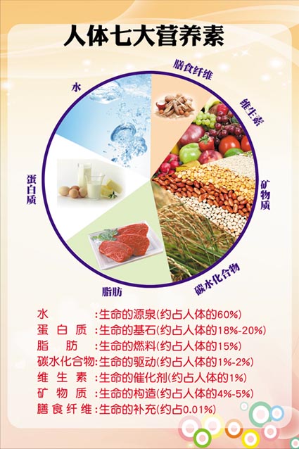 m769膳食养生均衡营养人体七大营养素海报定制印制展板贴纸1787