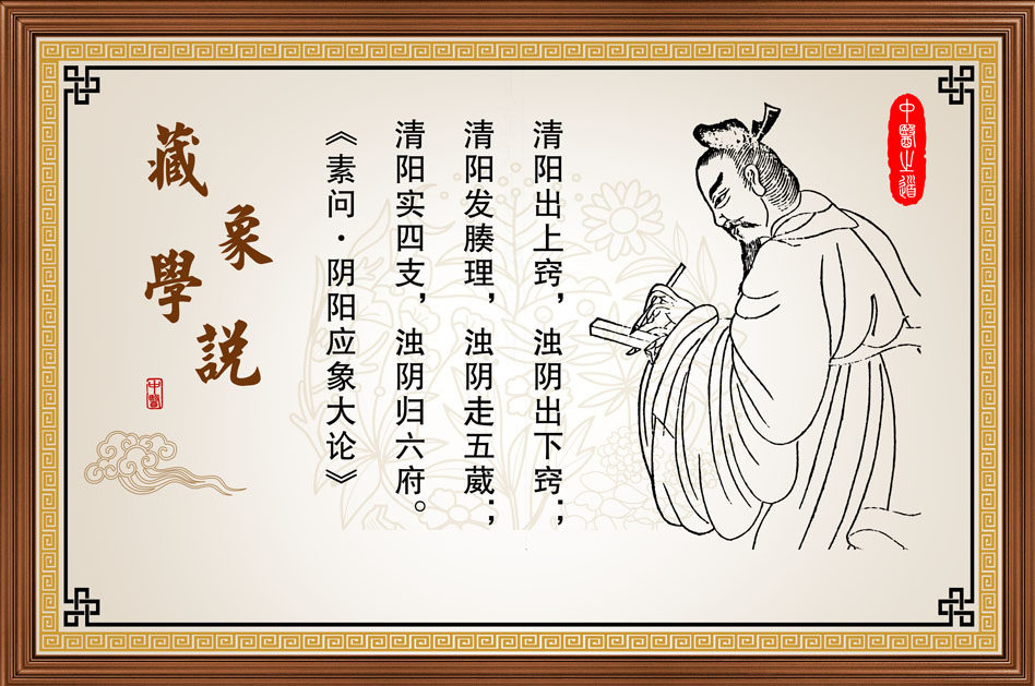763海报印制展板写真素材136中医养生藏象学说生活百科挂画