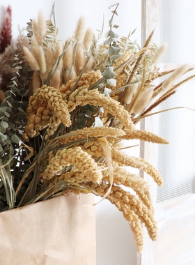 宝石草干花兔尾麦穗家居装饰