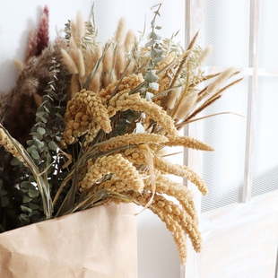 宝石草干花兔尾草原色麦穗狗尾巴草风干花家居装饰插花DIY永生花