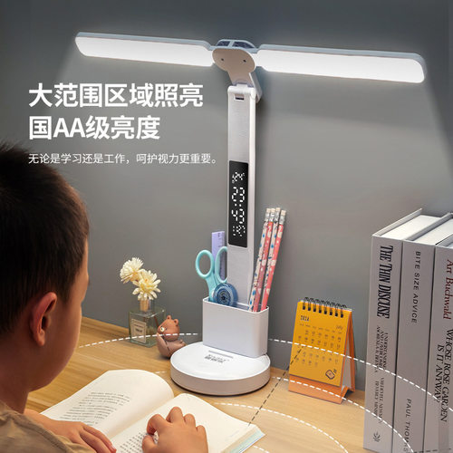 护眼台灯充插两用大范围