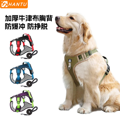 Heavy Duty Dog Harness Adjustable Nylon Leash Set