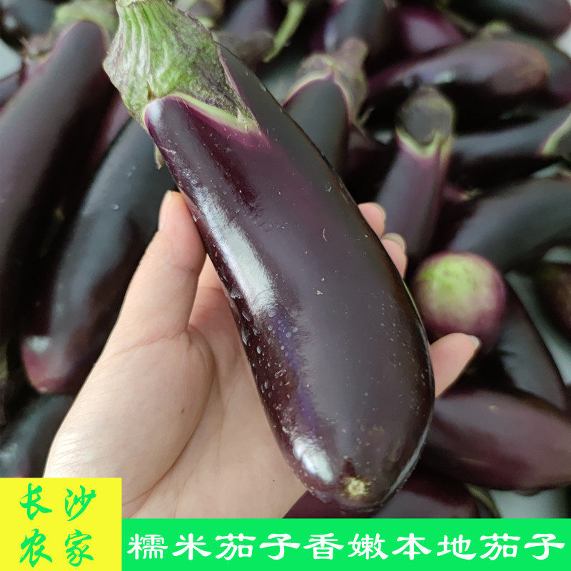 长沙农家 【1份4斤】湖南新鲜蔬菜糯米茄子农家香软土茄子长茄子