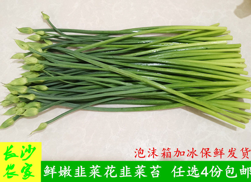 长沙农家  湖南湘菜食材新鲜韭菜花韭菜苔香嫩新鲜500g