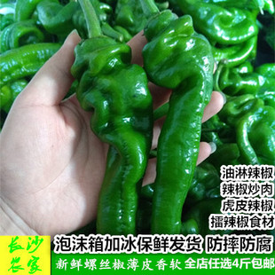 长沙农家  新鲜蔬菜青辣椒香辣尖椒皱皮椒螺丝椒湖南湘菜食材500g