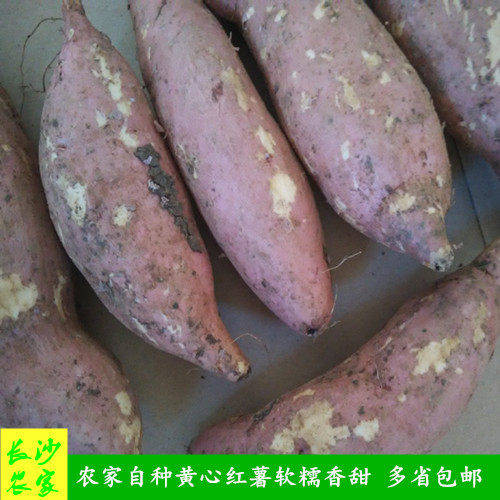 长沙农家  【5斤装】农民自种蔬菜红皮红薯新鲜番薯山芋水果红薯