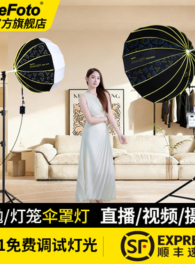 NiceFoto耐思200W深口伞罩灯直播补光灯主播摄影深抛常亮灯人像灯笼球形打光灯视频柔光影棚影视灯DF90-2000A
