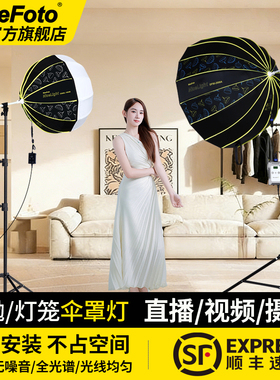 NiceFoto耐思200W深口伞罩灯直播补光灯主播摄影深抛常亮灯人像灯笼球形打光灯视频柔光影棚影视灯DF90-2000A