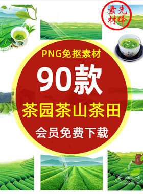 绿色茶园茶田茶叶茶山插画PNG图片 春茶采茶叶包装背景PS海报素材