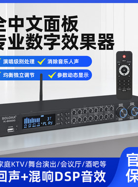 中文专业家用混响蓝牙演出