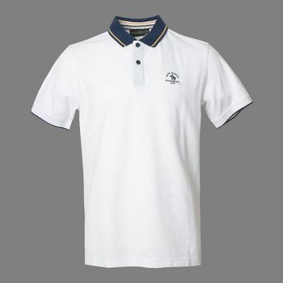 polo男士休闲纯棉翻领短袖t恤衫
