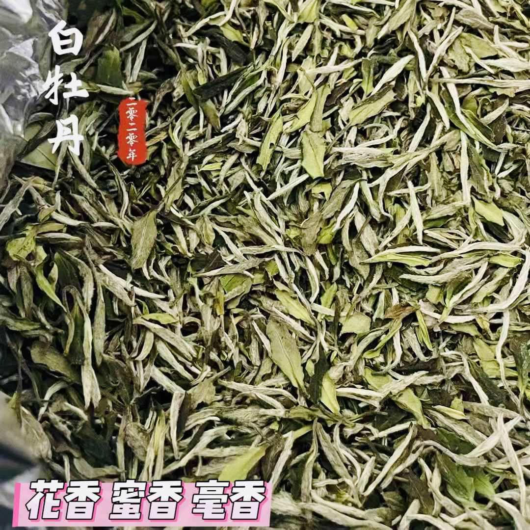 白茶福鼎高山春季老茶陈年牡丹王