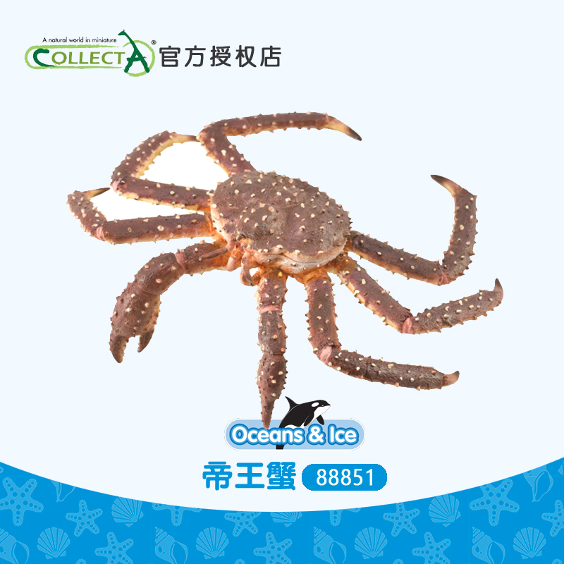 Collecta英国仿真海洋螃蟹动物