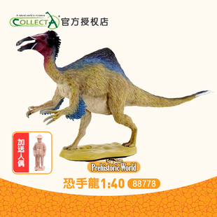40仿真恐龙动物玩具模型88778 正品 英国Collecta我你他 恐手龙