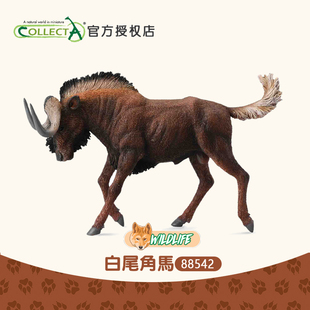 英国CollectA我你他白尾角马森林野生仿真动物模型玩具88542 正品