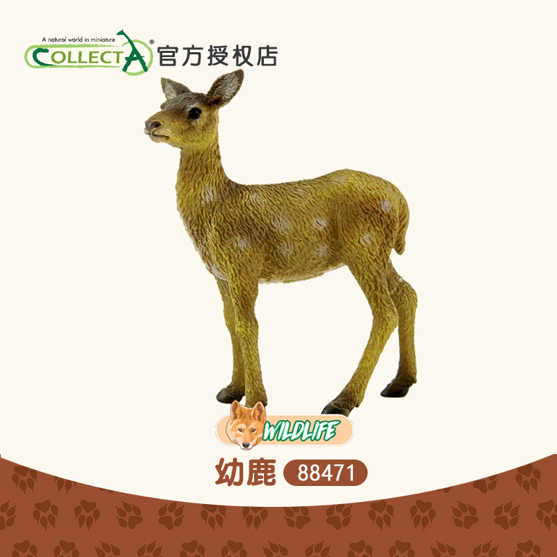 正品英国CollectA我你他 幼鹿 仿真森林动物模型玩具儿童88471