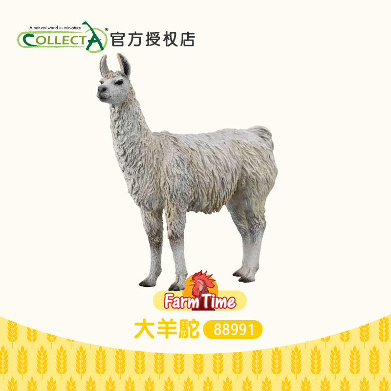 我你他羊驼塑胶仿真动物模型