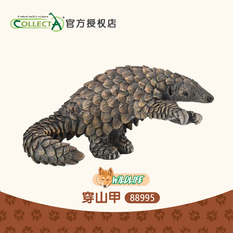 我你他穿山甲塑胶仿真动物玩具