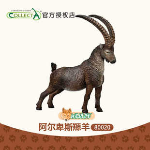 2024年仿真野生动物模型儿童玩具80020阿尔卑斯羱羊 Collecta