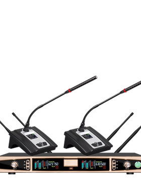 soundpath AT-MX102S金色专业一拖二无线麦克风会议式话筒真分集