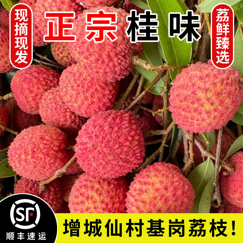 桂味荔枝新鲜现摘现发广东广州增城仙村基岗当季高端水果送礼5斤