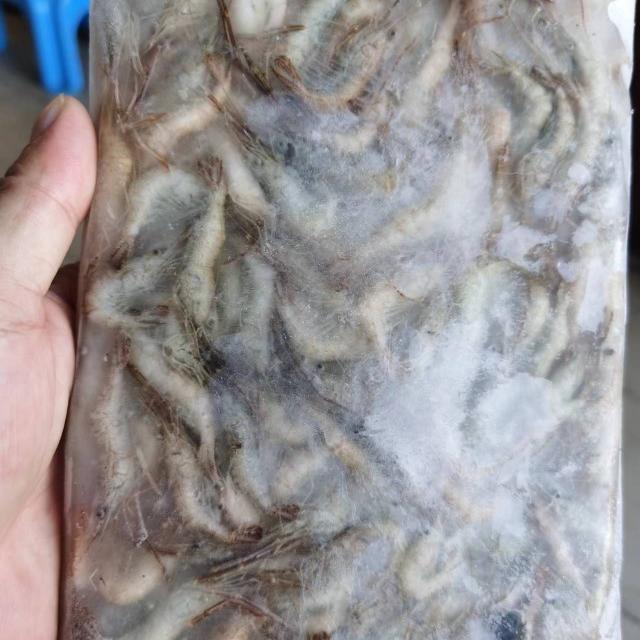 河虾活冻鲜冻虾米商用包邮