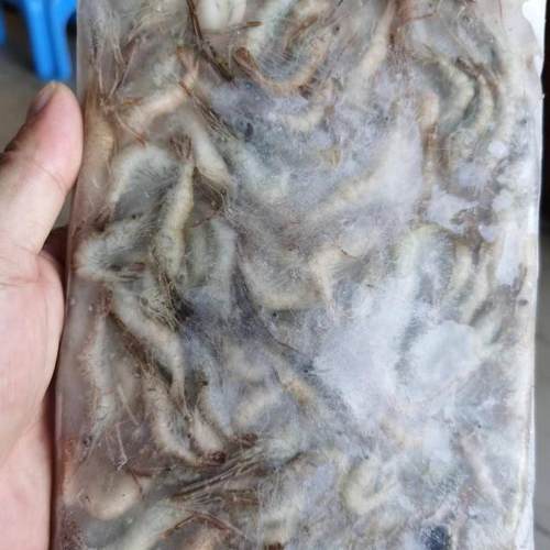 河虾活冻鲜冻虾米商用包邮