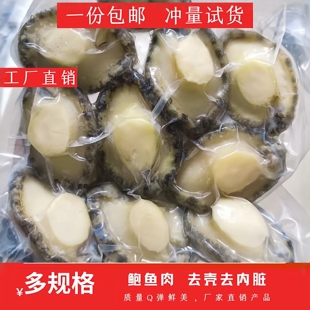 鲍鱼肉鲜活冷冻新鲜特大号去壳冰鲜速冻小鲍鱼肉海鲜火锅食材商用