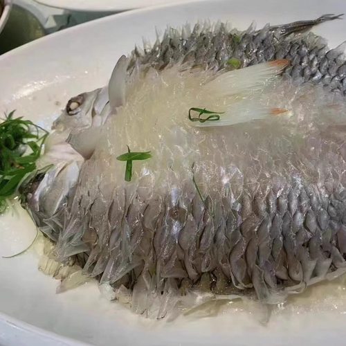 忘不了马来西亚鱼冷冻皇帝鱼