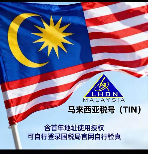 马来西亚税号TIN申请 极速出，真实地址，可包My账户，流程细化