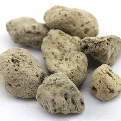 海浮石冷背中药材海石水泡500浮海石浮石粉浮水水花包邮正品新货