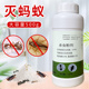 除杀灭蚂蚁药家用神器室内非无毒全窝端外厨房一窝端蚂蚁粉杀虫剂