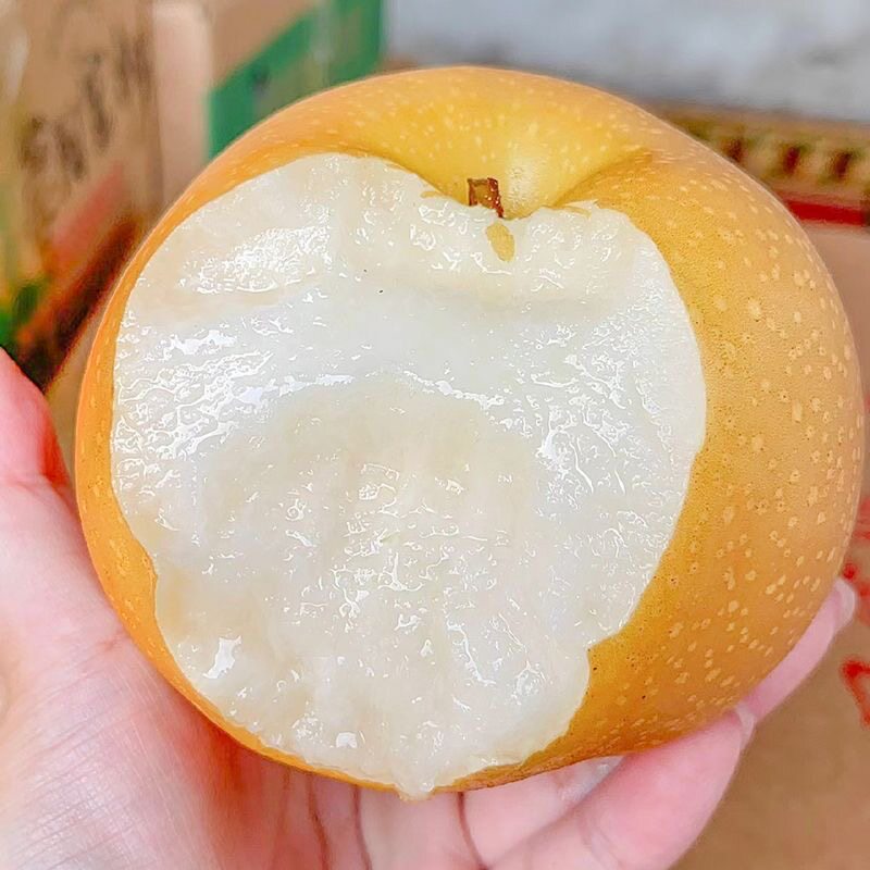 顺丰包邮山东正宗秋月梨