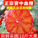 正宗四川资中塔罗科血橙新鲜水果现摘红肉橙子手剥玫瑰橙超甜 包邮
