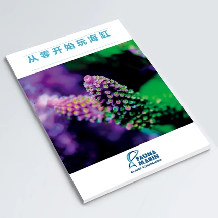 《从零开始玩海缸》新手下海教程海水鱼缸珊瑚饲养指南FM系统简易