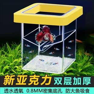 鱼缸方形漂浮式隔离盒小鱼小型鱼苗母鱼孵化盒悬浮式孔雀鱼繁殖盒