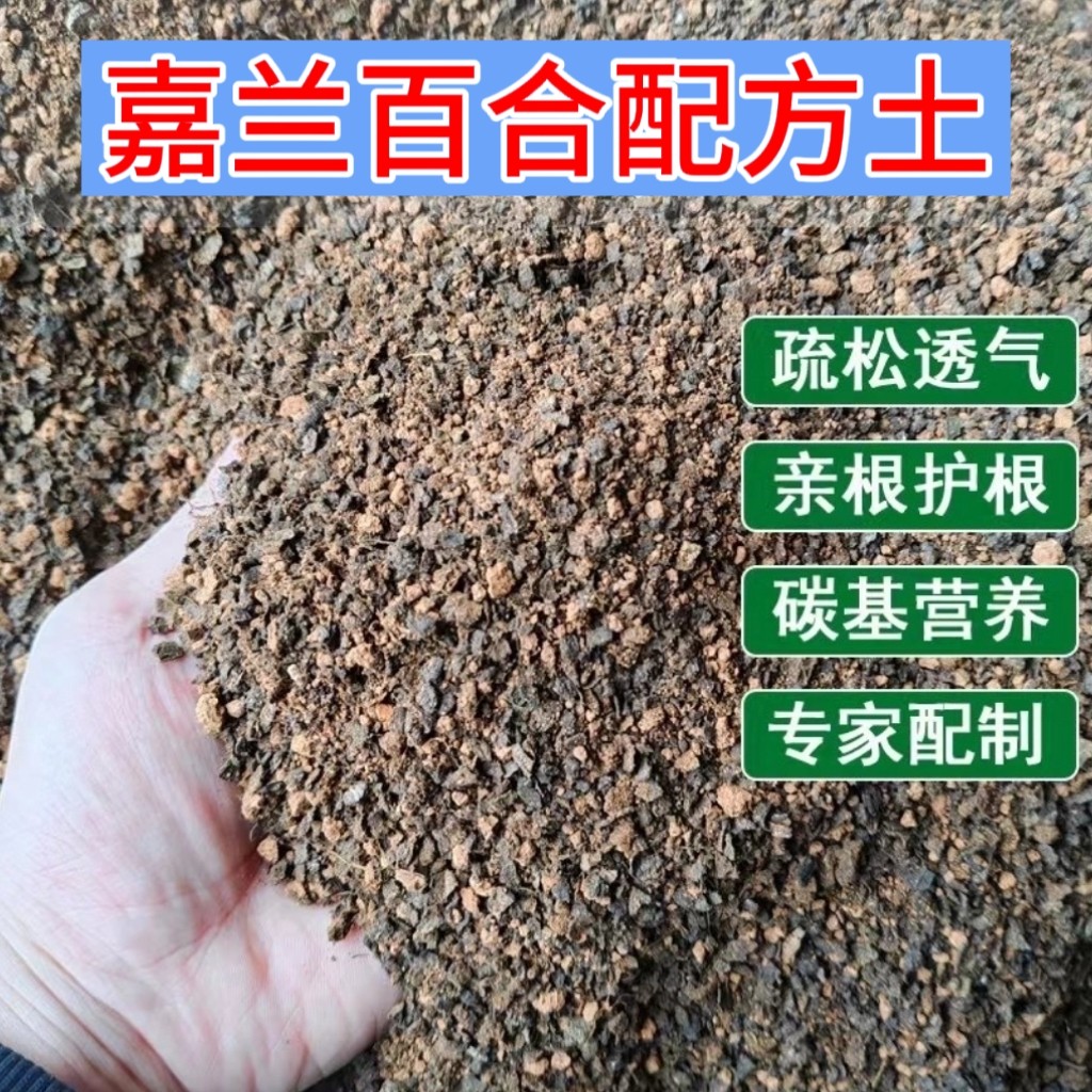 嘉兰百合用土疏松透气亲根专用配方土易成活开花多家庭盆栽专用图片