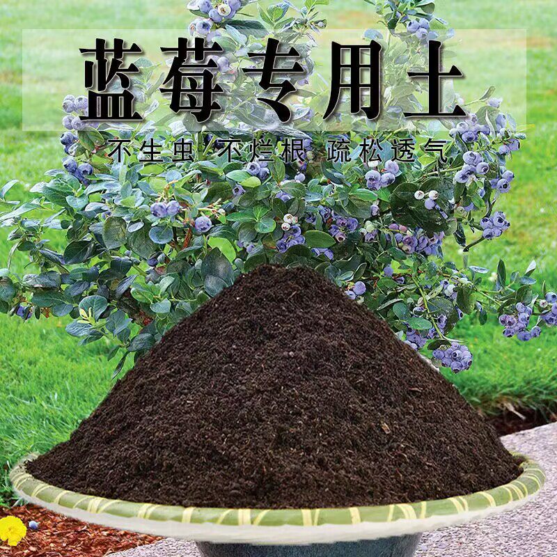 蓝莓专用土蓝莓专用营养土盆栽养花种植土壤有机肥料通用种花土培