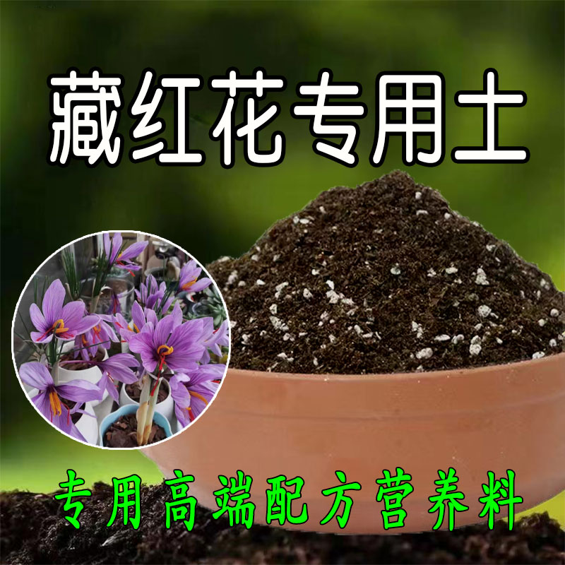 藏红花专用土藏红花种植土壤专用营养土家用盆栽种花养花有机土