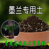墨兰兰花专用土寒兰报岁兰土国兰建兰通用型营养土有机肥料腐殖土